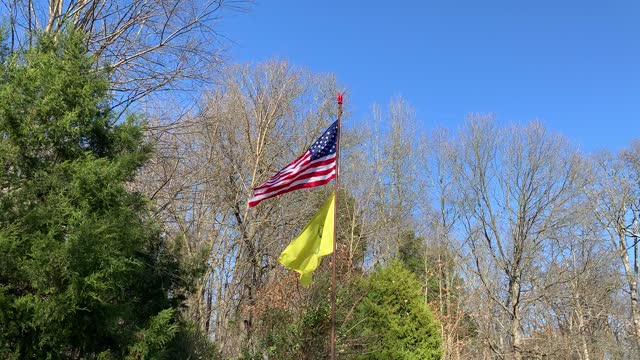 Two Flags