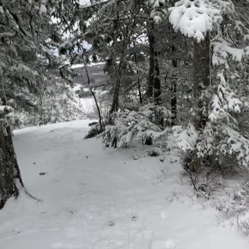 Join me please at the top top lookout.