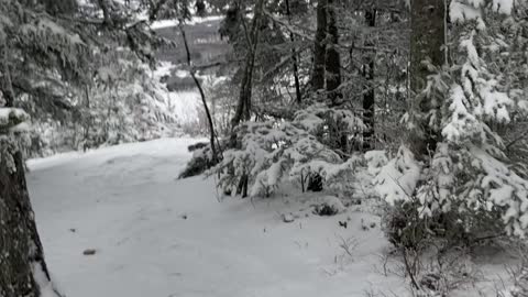 Join me please at the top top lookout.