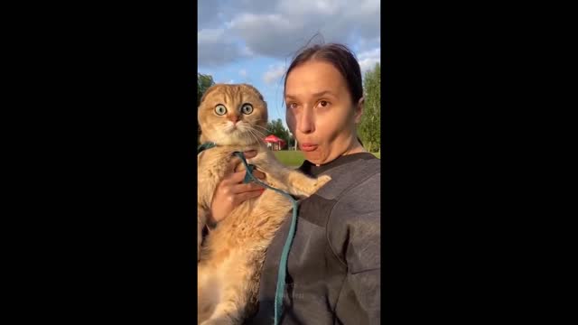 Cats 😍 video's enjoying time