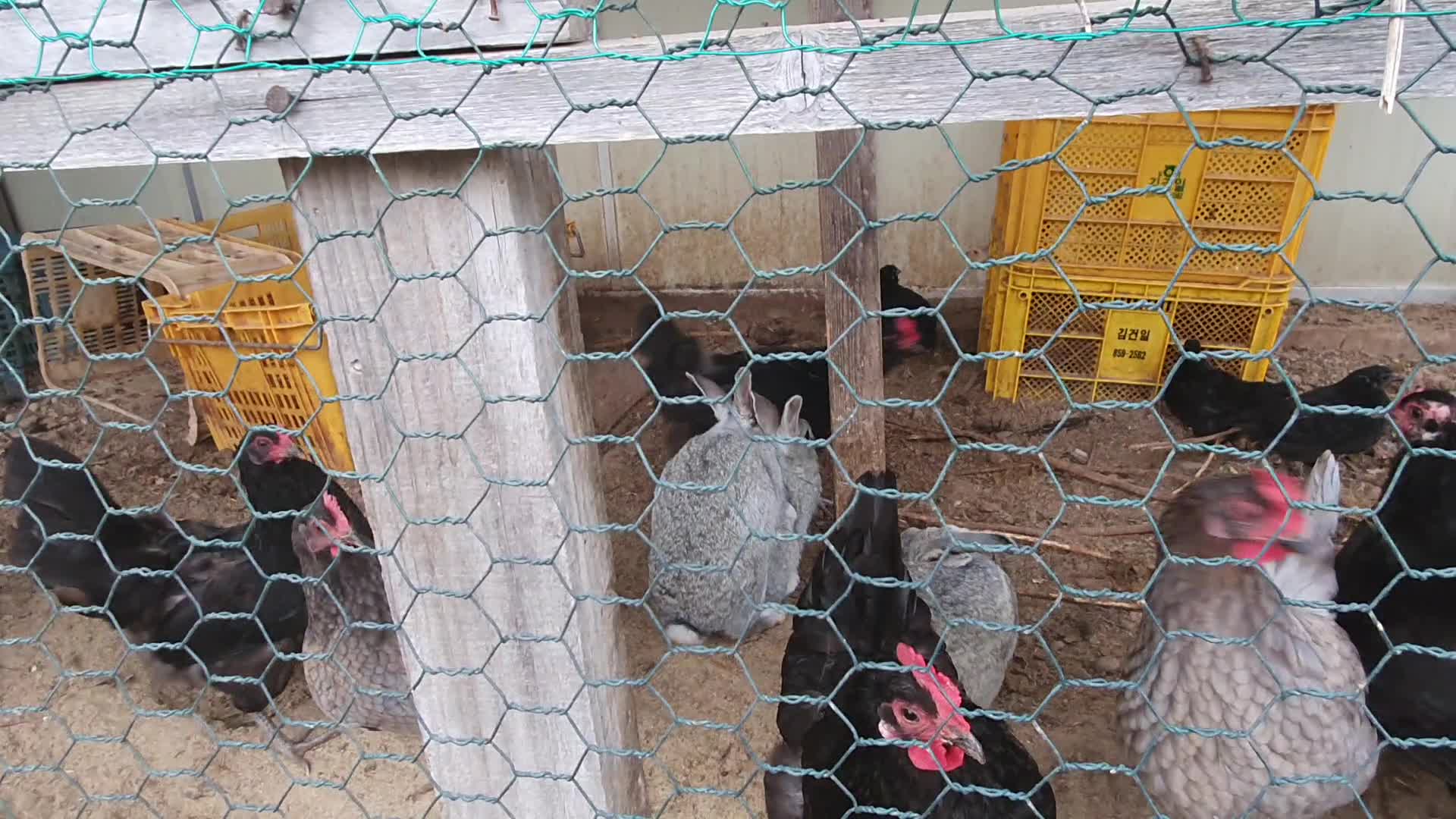 Its already over again