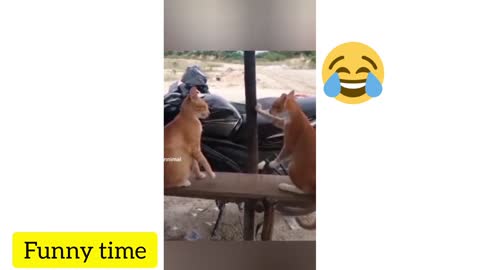 Best funny videos🙈 🤣🤣THE FUNNIEST ANIMALS OF THE YEAR