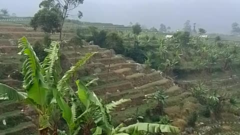 Pemandangan yang indah