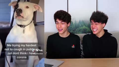 TIKTOKS that are actually funny