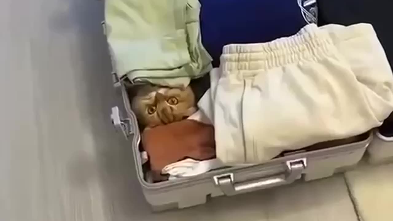 Vacation is all I ever wanted 😂😂