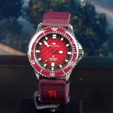 Relojes Seagull King of the Dragon para hombre, reloj mecánico automático