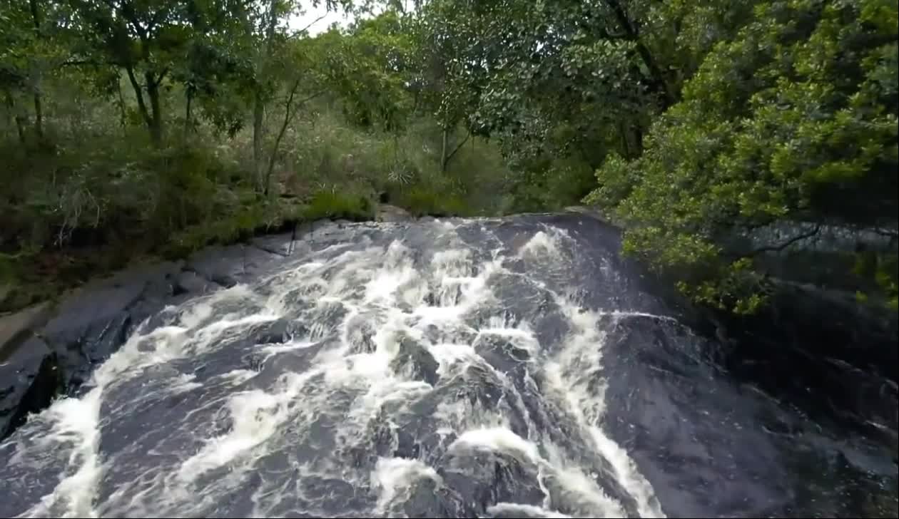 Clear little stream