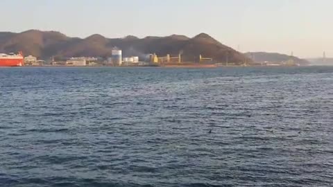 Korean sea