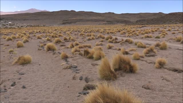 Sala de Tara at Atacama desert in Chile