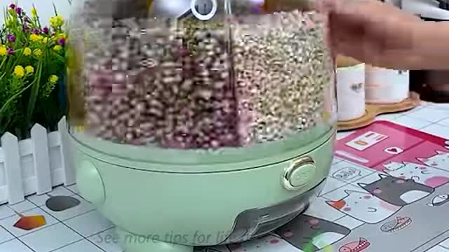 The best kitchen gadgets that you should have!