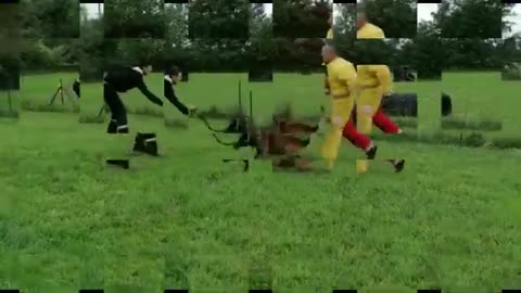Reprise entrainement et formation maitre chien. Dog handler private security. Costume Demanet(360P)