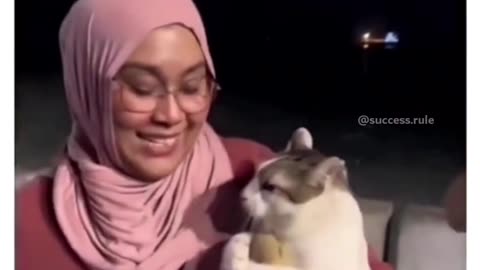 Funny cat video 🤣😀