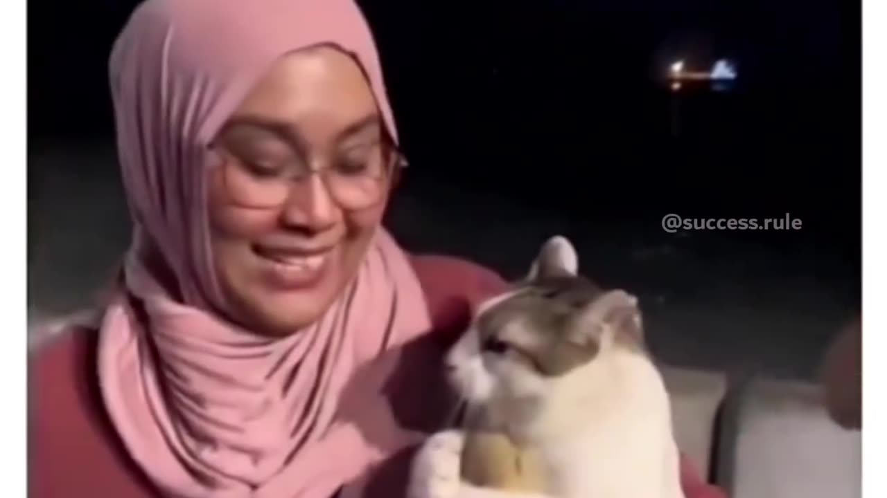 Funny cat video 🤣😀