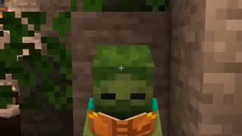 When you don't fill creepers hole