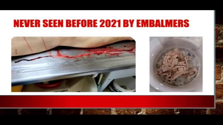 Dr. Jane Delivers Powerful Speech: Dr. Zelenko, Embalmers, Blood Clots & More - ReAwaken Tour