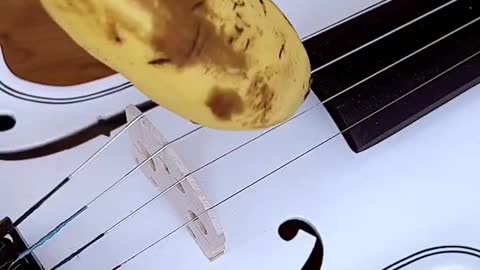 I Tripped Inside My House and Now I Can Play The Violin - Brain Side Effect #shorts