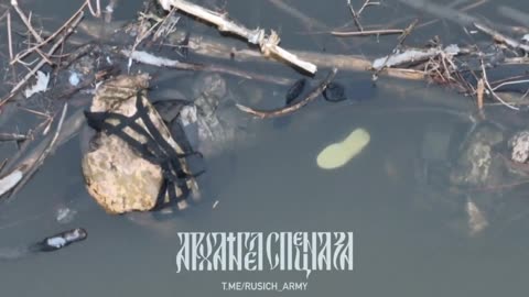 Kriny ukraine