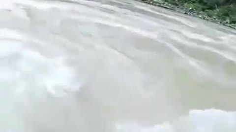 Snake in river