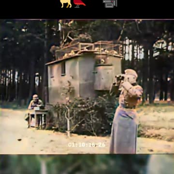 German Soldiers Training Dogs and Pigeons - 1940 Animal Allies COLOURIZED 🐕🐦🇩🇪🎥