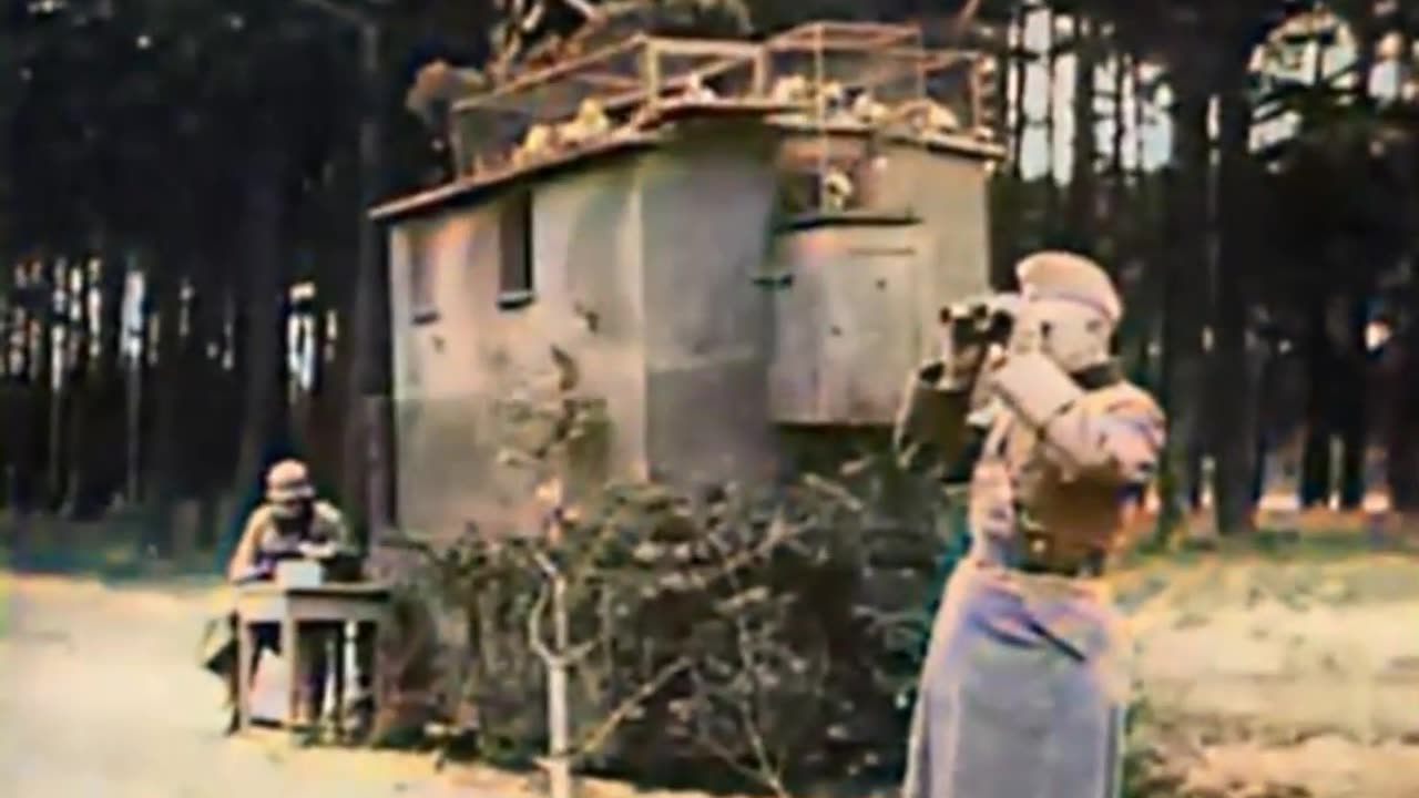 German Soldiers Training Dogs and Pigeons - 1940 Animal Allies COLOURIZED 🐕🐦🇩🇪🎥