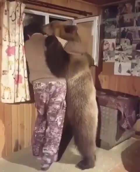 ONE ❤️ LOVE - RUSSIANS LOVE THEIR BEARS