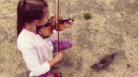 arolina Protsenko is playing VIOLIN for a little SQUIRREL - Hallelujah Leonard Cohen