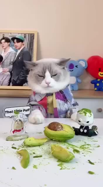 DIY tutorials vs You 😂😂😂😂😂