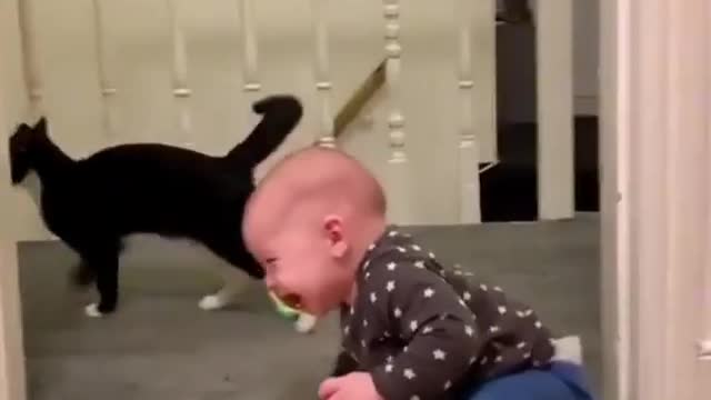 Funny Babies Laughing Hysterically Compilation