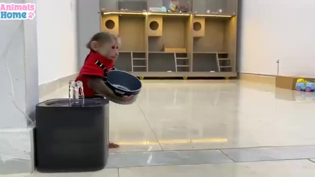 When BiBi become a Chef
