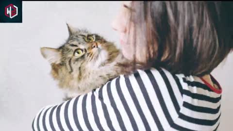 What it really means when your cat curls up with you for cuddles!!