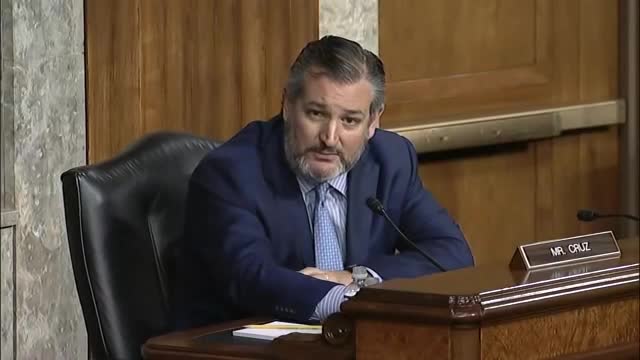 Ted Cruz Rattles Deputy AG Over Treating Concerned Parents As Domestic Terrorists