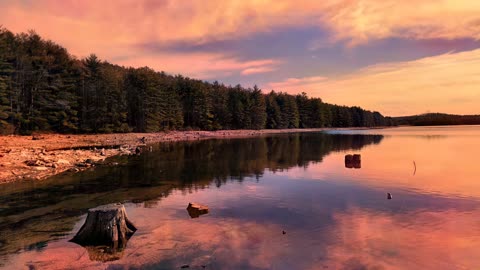 Lake at Michaux State Forest