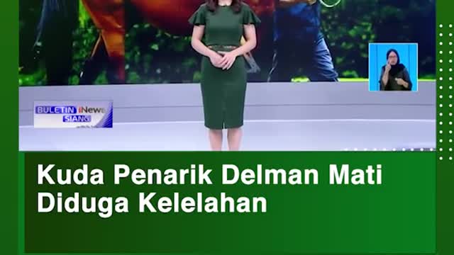 Kuda Penarik Delman Mati Diduga Kelelahan