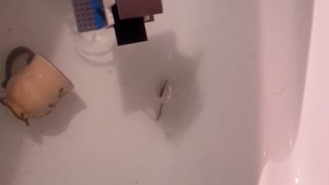 20170418_213727