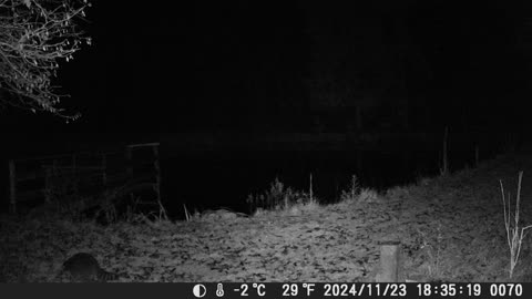 Teich 231124