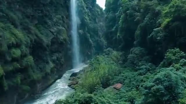 The wonders of nature