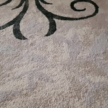 Abby Doing Abby Things