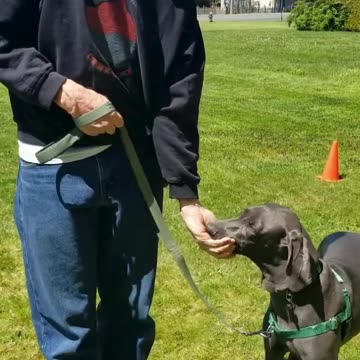 River shaping the Heel cue