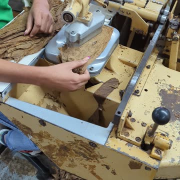 Machine Made Cigars at Tabacalera Palma | Procigar 2024