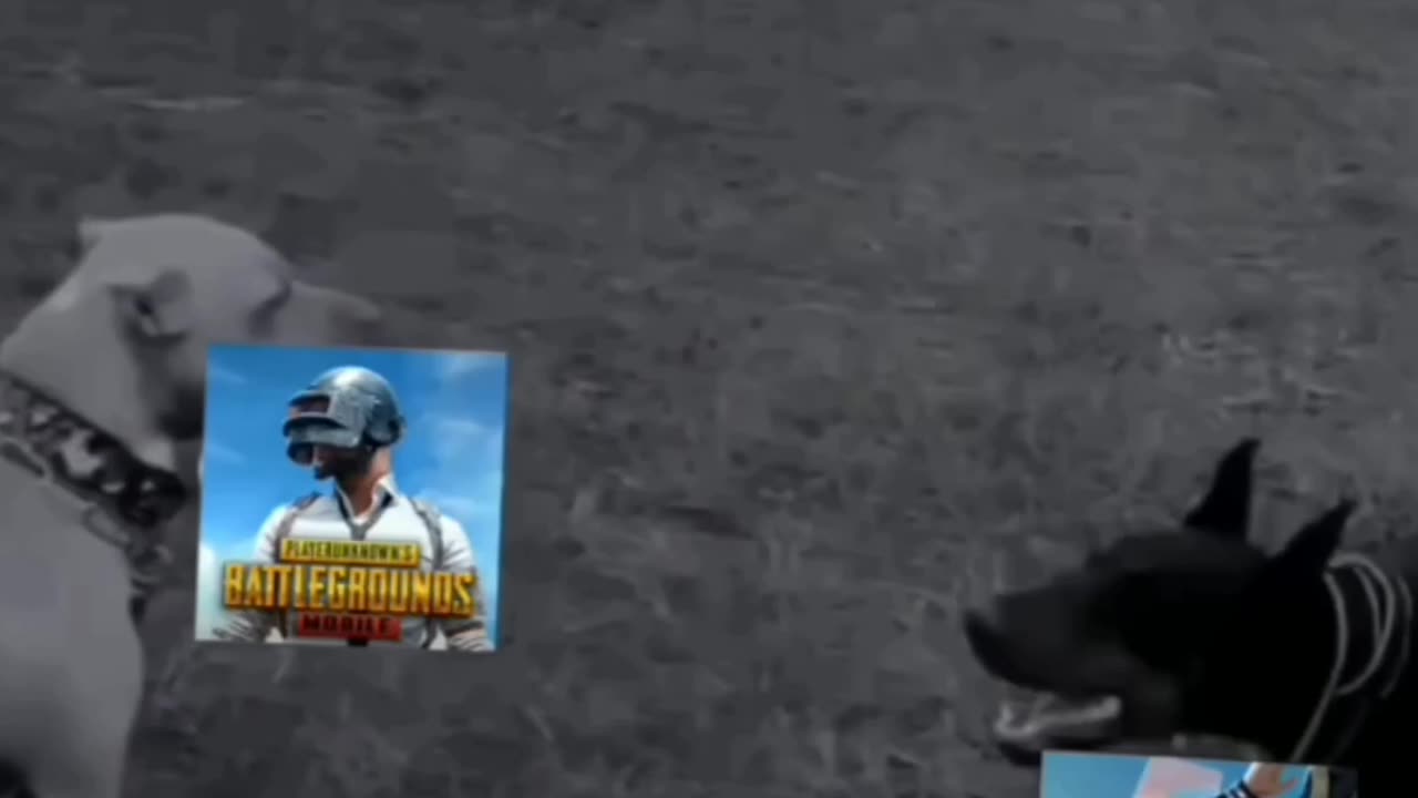 Free fire vs pubg