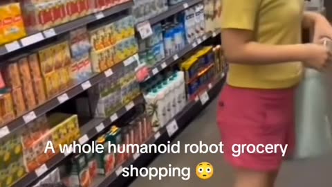 NOTHING TO SEE HERE JUST A HUMANOID ROBOT GROCERY SHOPPING!!