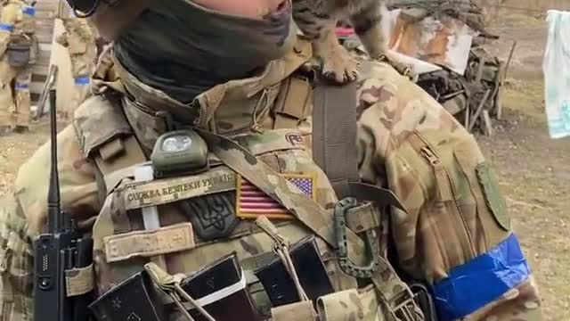 Cats against Putin The soldier in the video says: