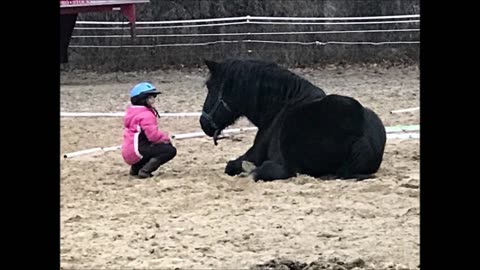 Project Hope Equine Assisted Therapy