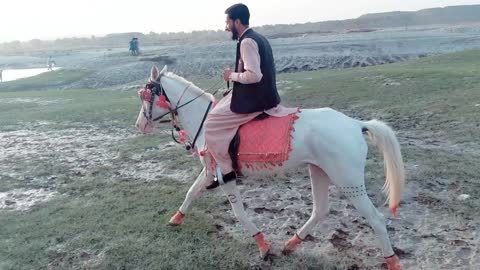 Horse riding on slippery place.