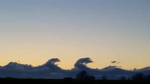 Sea Monsters in the Skies