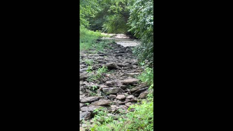 Flash Flood at Camp Ground Branch Creek at Whit Acres!