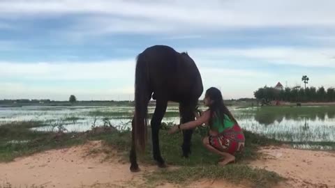 Village Girl Training Black Horse And Care