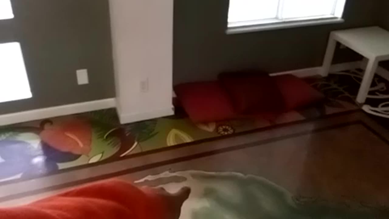 Monday, May 29, 11:28am finish, 2023. COCOA UP = JESUS = CROSS = MESSIAH.