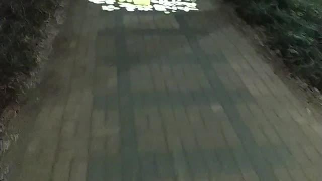 While walking on the street at night, I saw pretty letters