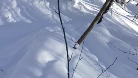 winter in Russia